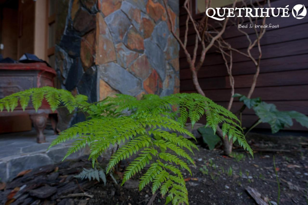 Bed and Breakfast Quetrihue Puerto Varas Exterior foto
